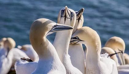 乐鱼体育登录入口——畅享极致体育体验